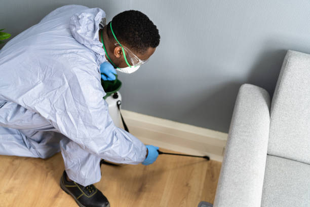 Reliable Hattiesburg, MS Pest Control Solutions